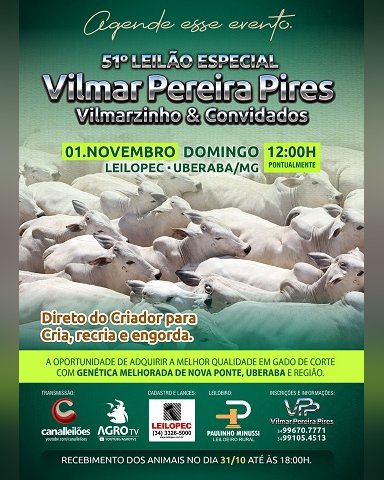 51º Leilão Vilmar Pereira Pires e Convidados