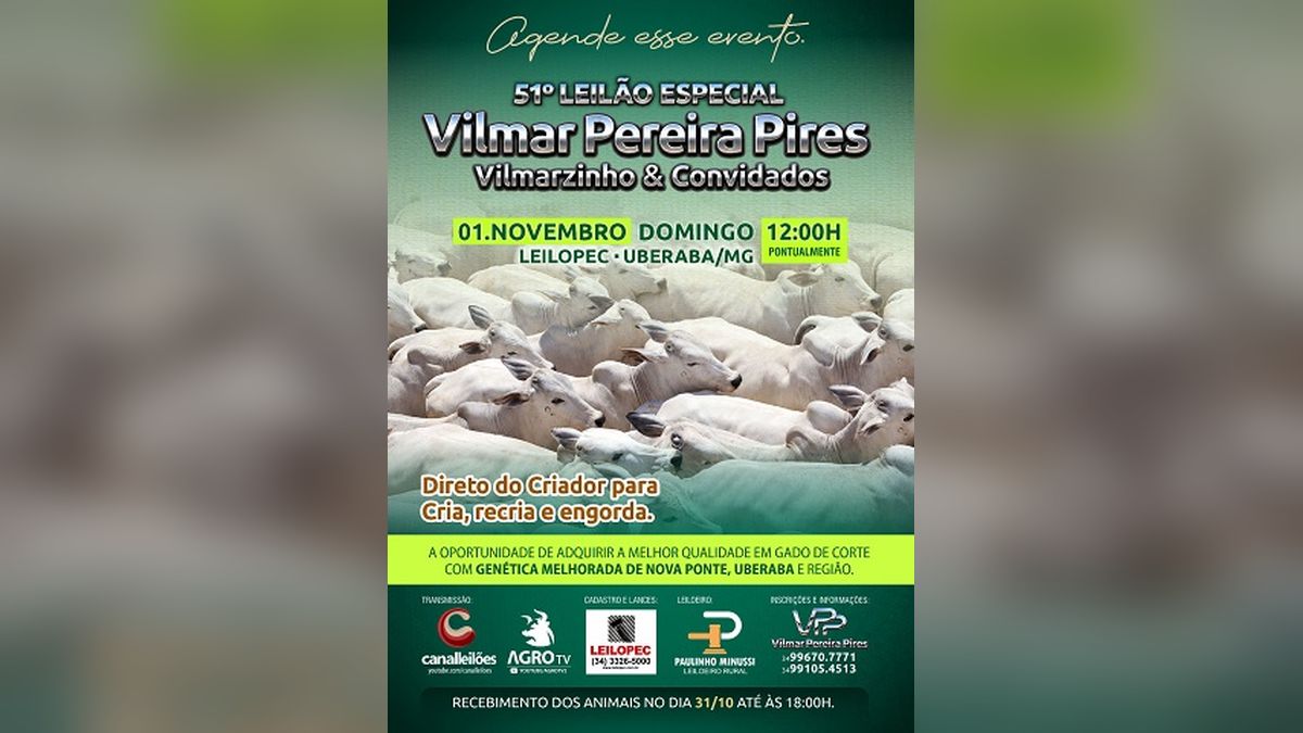 51º Leilão Vilmar Pereira Pires e Convidados em 1º de novembro