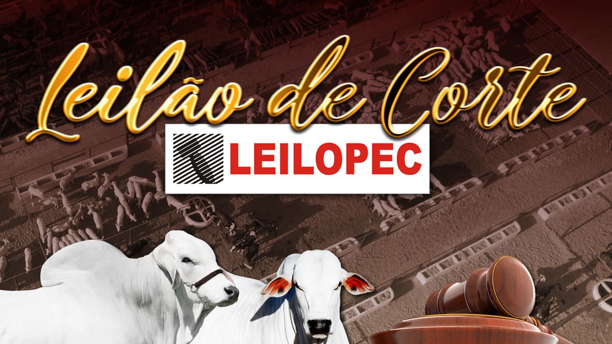 Todo domingo tem Leilão de Corte da Leilopec